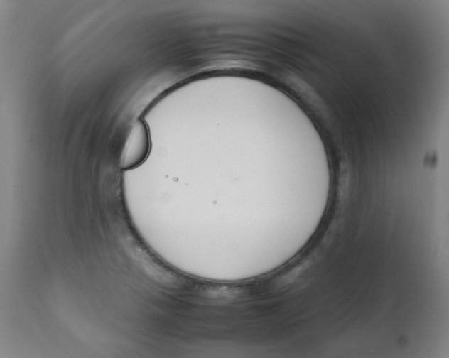 X0000111881321200908201248