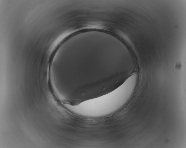 X0000111881323200908201248