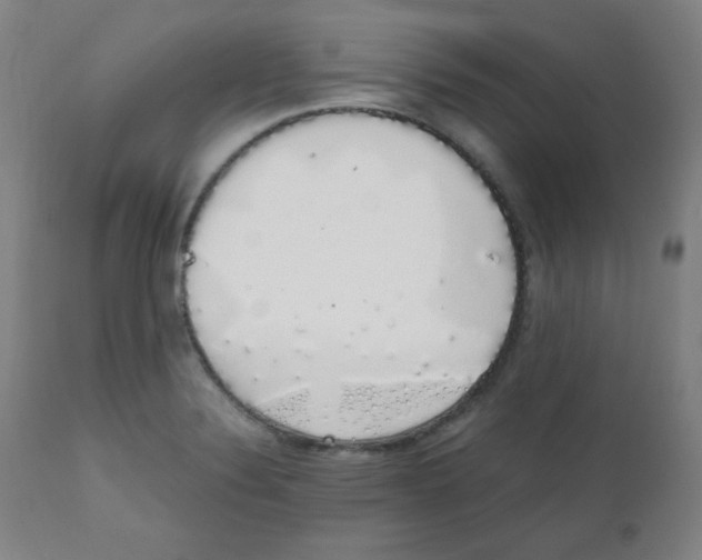 X0000111881324200908201248