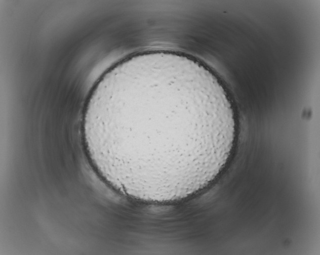 X0000111881325200908201248