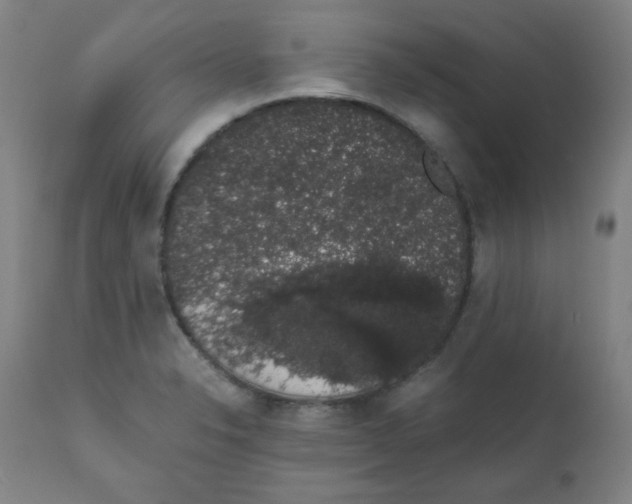 X0000111881326200908201248
