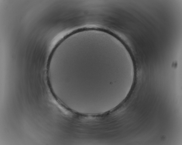 X0000111881327200908201248