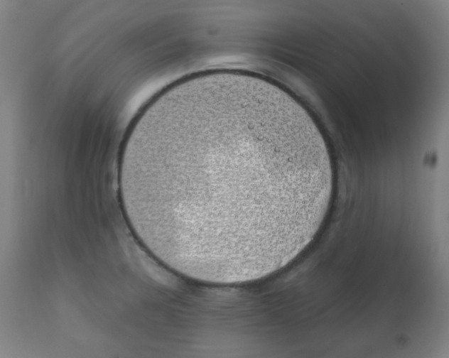 X0000111881328200908201248