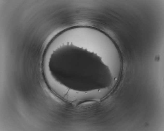 X0000111881331200908201248