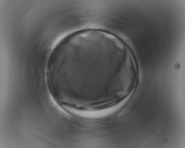 X0000111881334200908201248