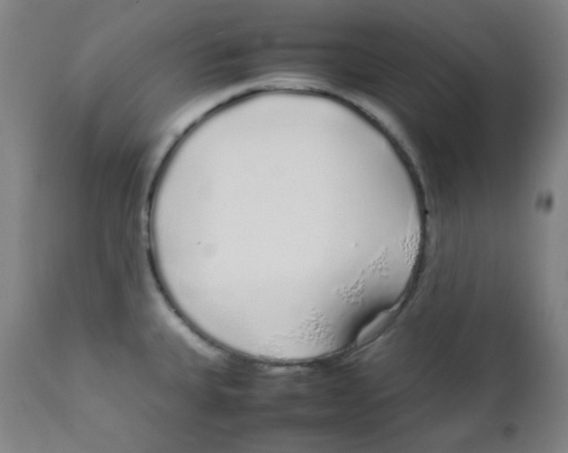 X0000111881335200908201248
