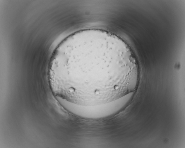 X0000111881336200908201248