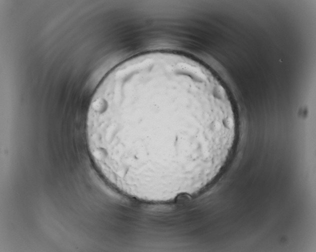 X0000111881337200908201248