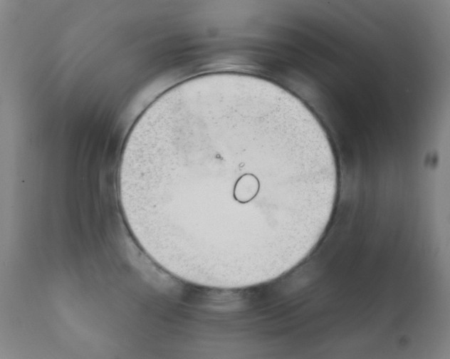 X0000111881338200908201248