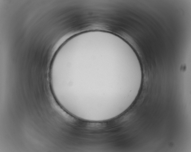 X0000111881339200908201248