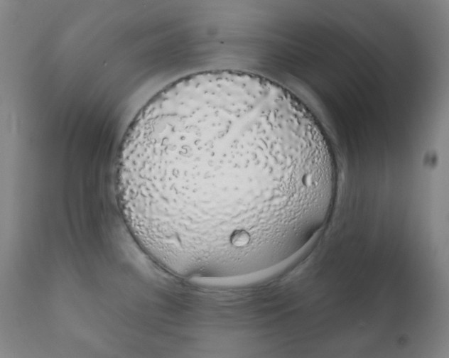 X0000111881340200908201248