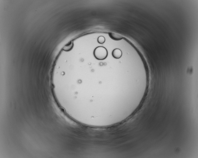 X0000111881341200908201248