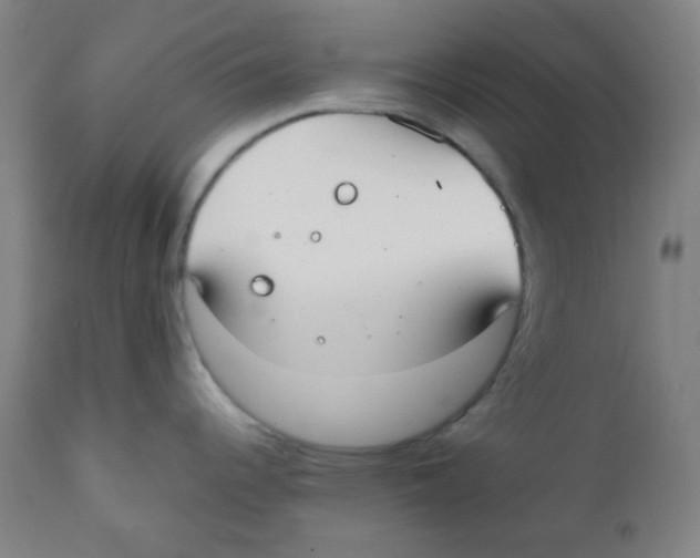 X0000111881344200908201248