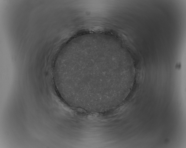 X0000111881345200908201248