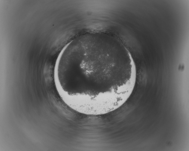 X0000111881346200908201248