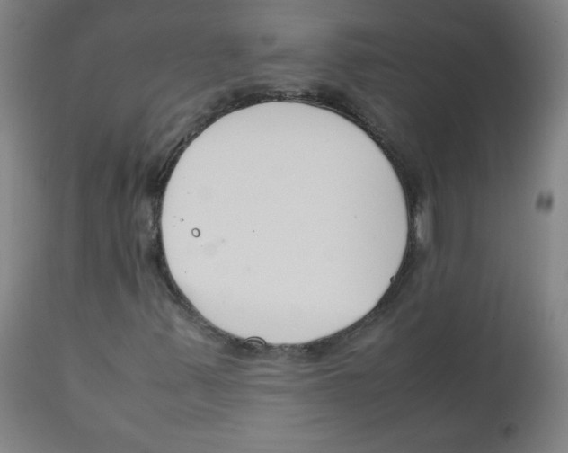 X0000111881347200908201248