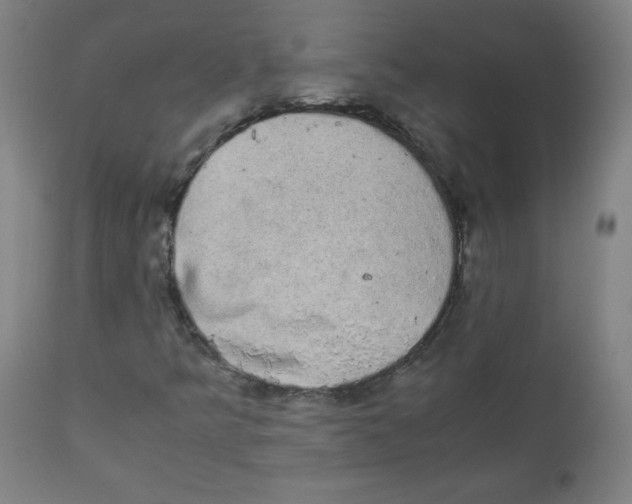 X0000111881349200908201248