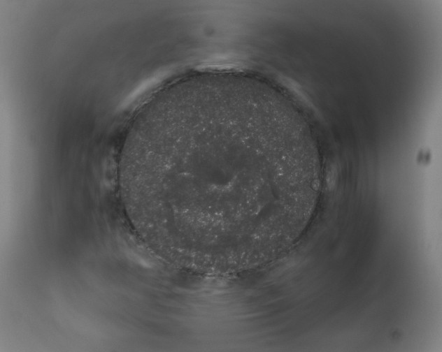 X0000111881350200908201248