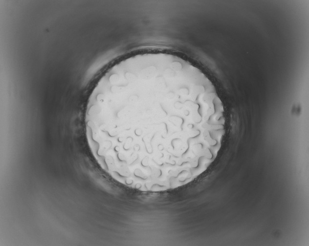 X0000111881352200908201248
