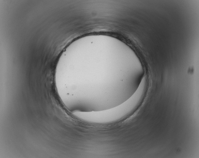 X0000111881353200908201248