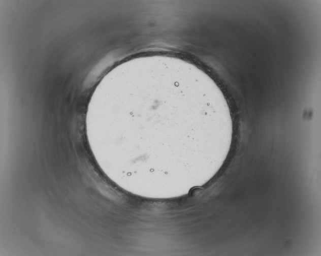 X0000111881355200908201248