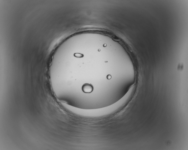 X0000111881357200908201248
