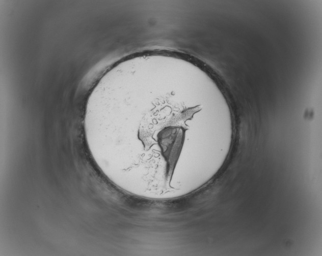 X0000111881359200908201248