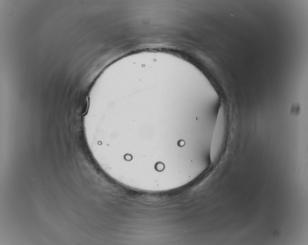 X0000111881361200908201248