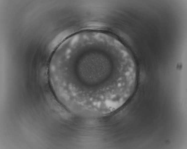 X0000111881362200908201248