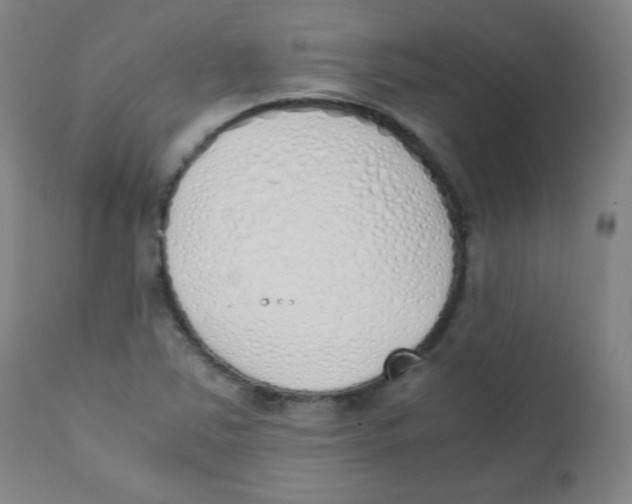 X0000111881363200908201248