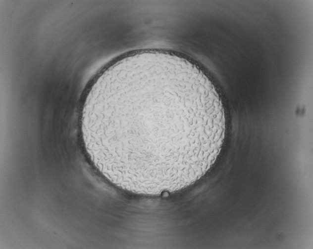 X0000111881364200908201248
