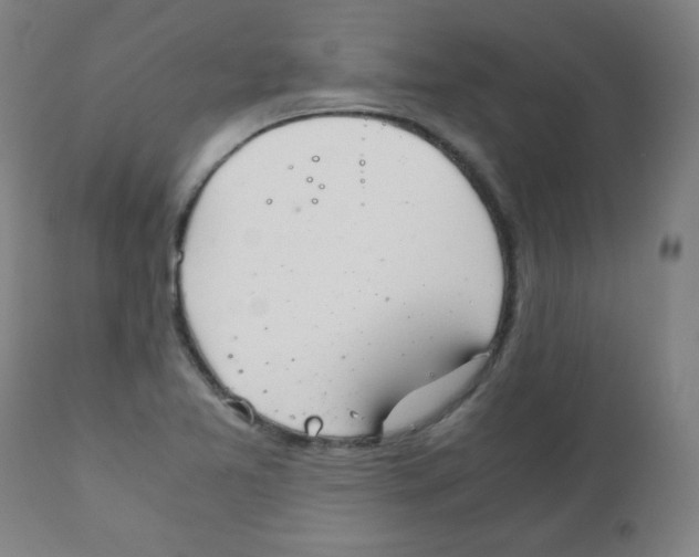 X0000111881365200908201248