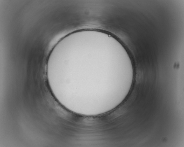 X0000111881366200908201248