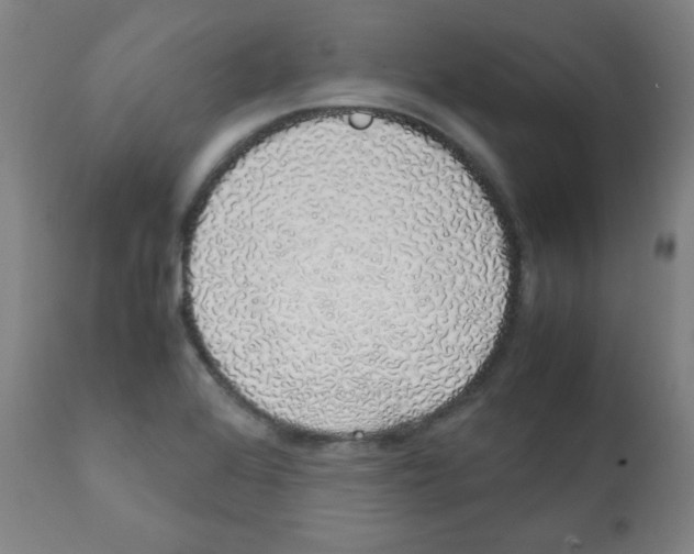 X0000111881368200908201247