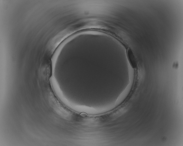 X0000111881369200908201247