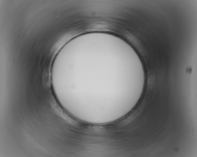 X0000111881370200908201247