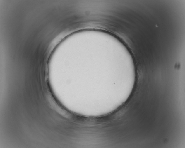X0000111881371200908201247