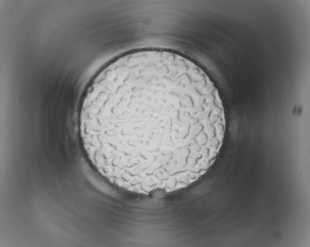 X0000111881372200908201247