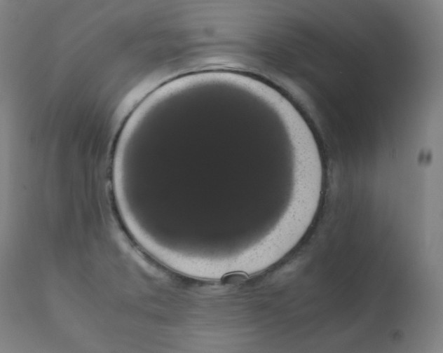 X0000111881373200908201247