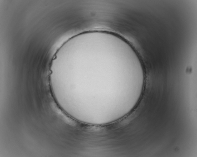 X0000111881374200908201247