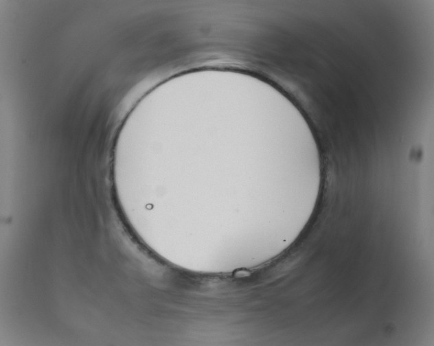 X0000111881375200908201247