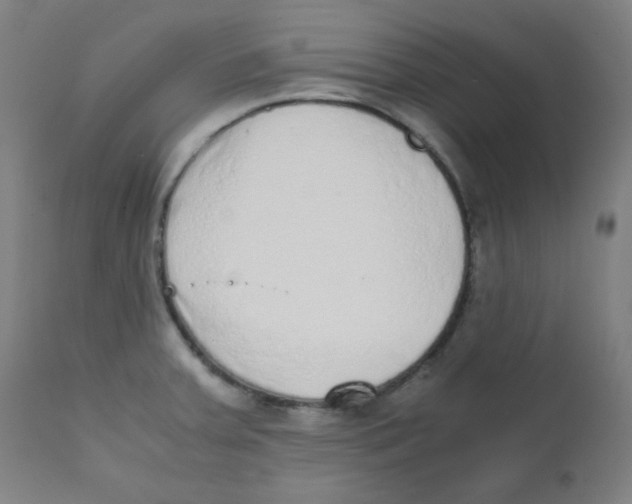 X0000111881379200908201247