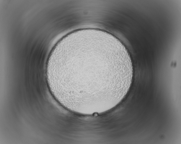 X0000111881380200908201247
