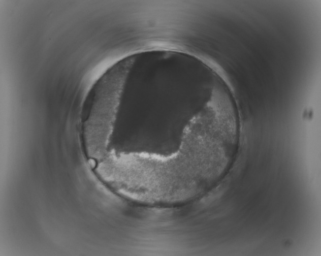 X0000111881381200908201247