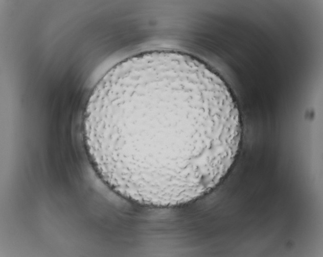 X0000111881382200908201247