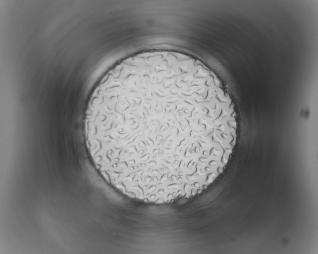 X0000111881384200908201247