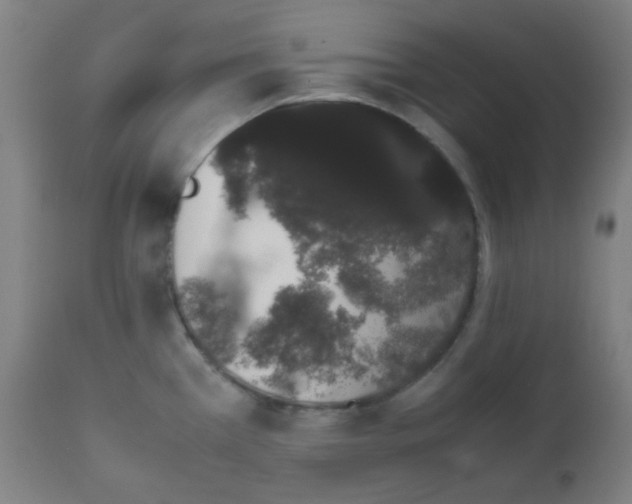 X0000111881385200908201247
