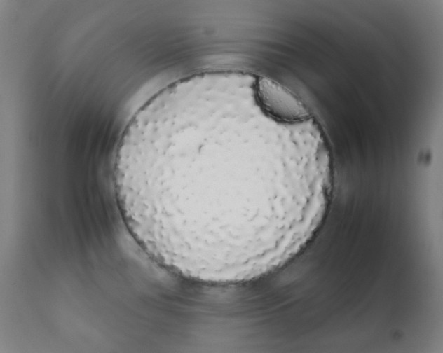 X0000111881386200908201247