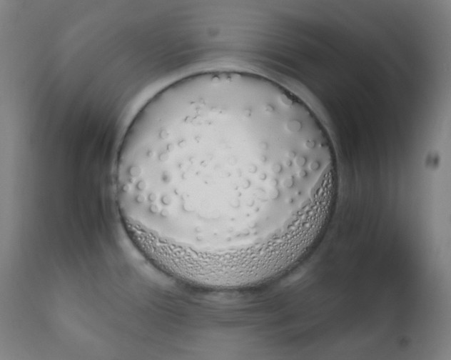 X0000111881388200908201247