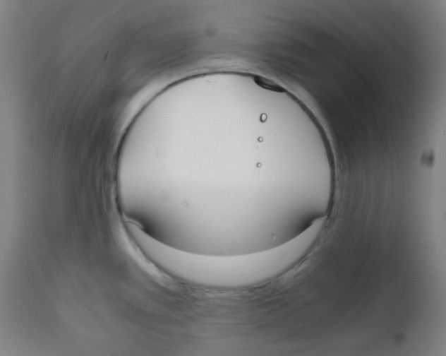 X0000111881389200908201247